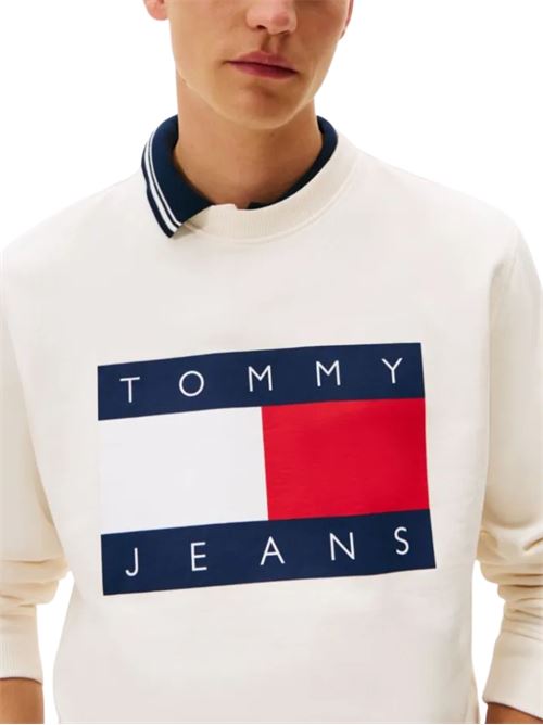 Maglioncino girocollo con grafica Tommy Jeans | DM0DM22643YBH